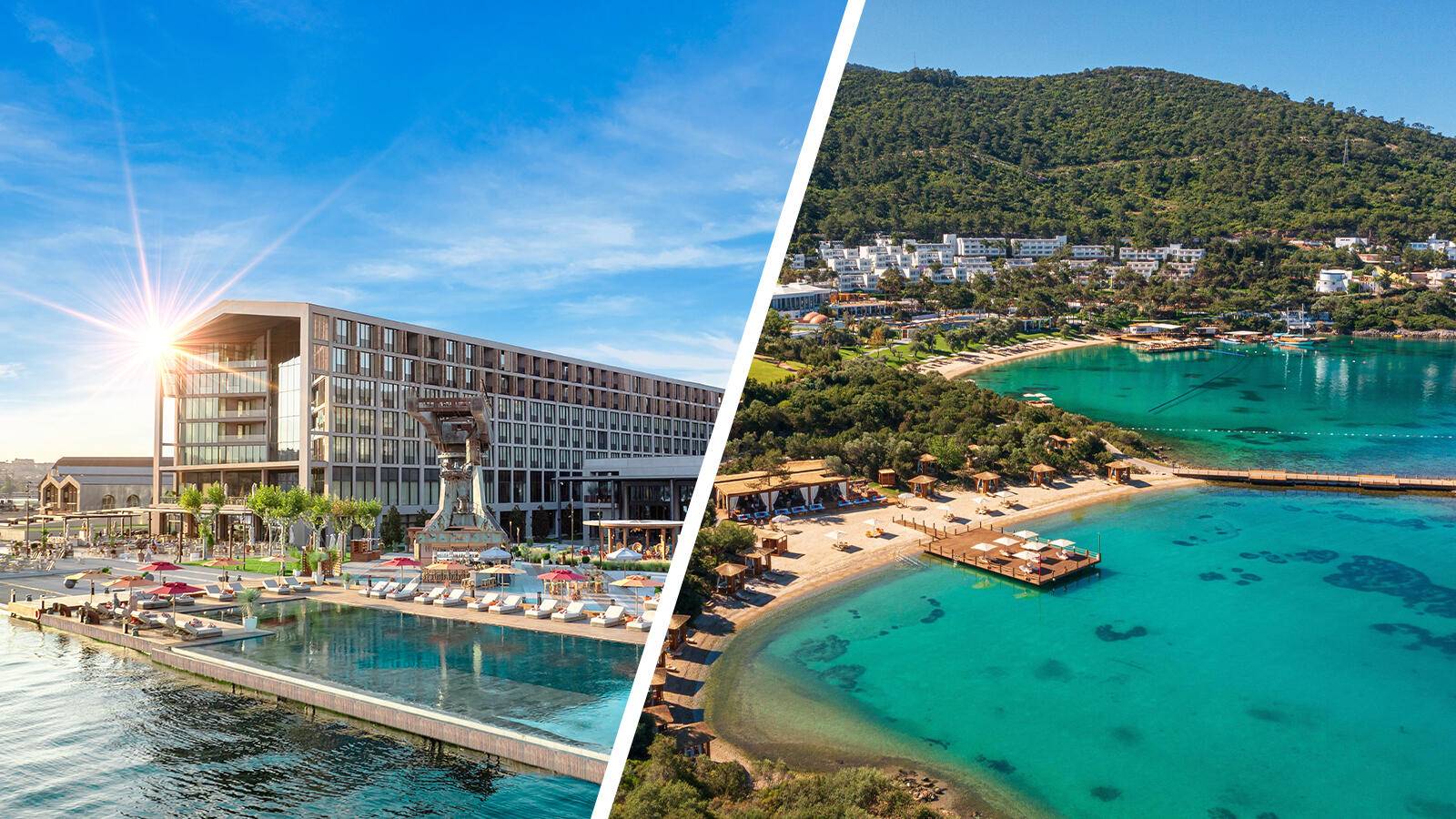 Анимациялық секс-романтика